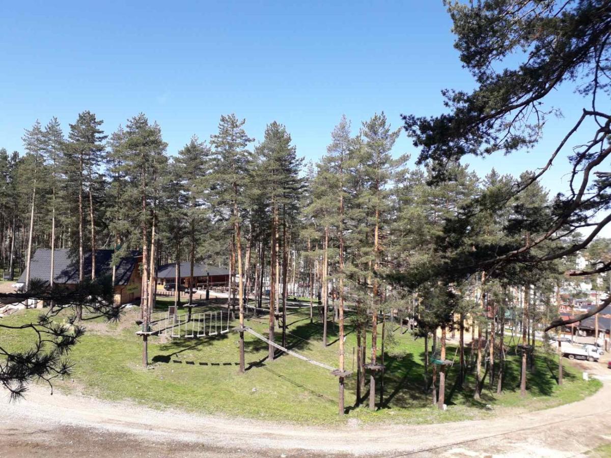 Lux Apartman Ss Zlatibor Vila Pekovic Green Екстериор снимка